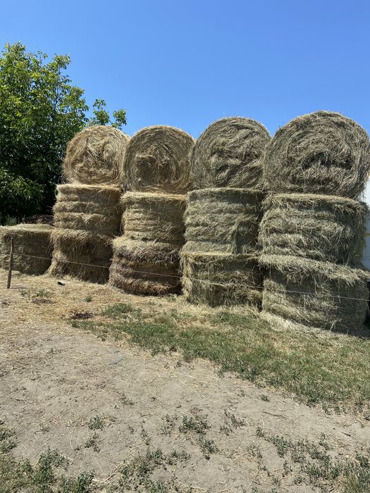 Baloti rotunzi de fân si lucerna 150/125 calitate