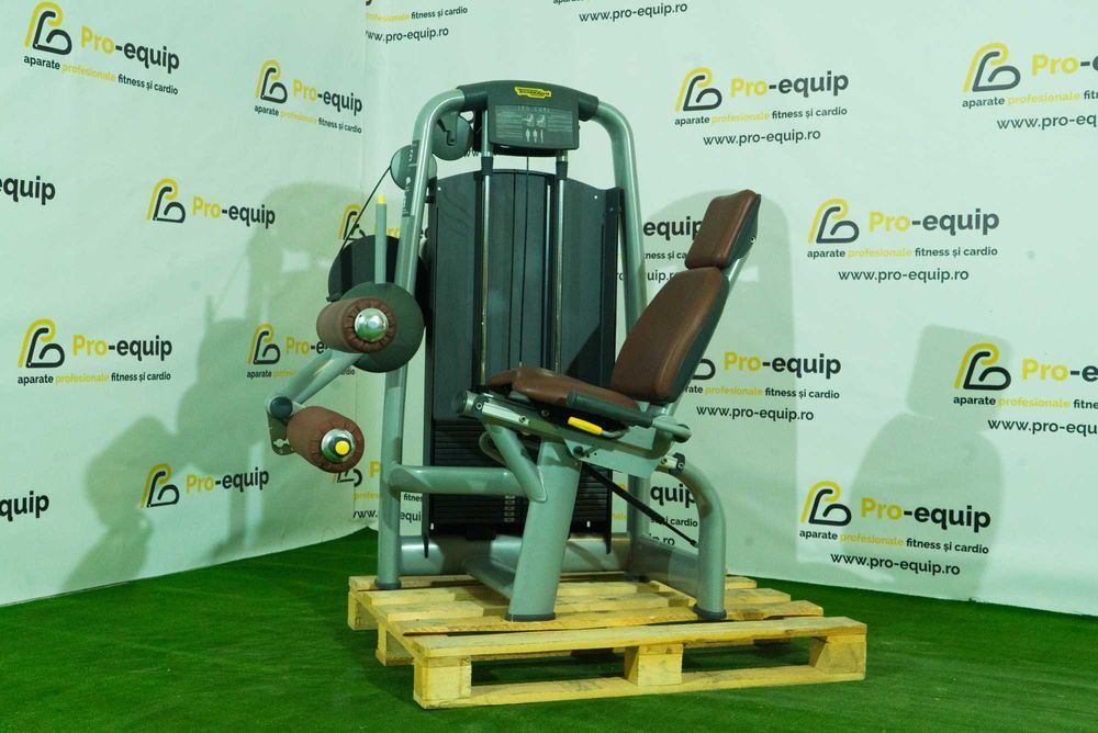 Aparat fitness profesional picioare Matrix, Technogym