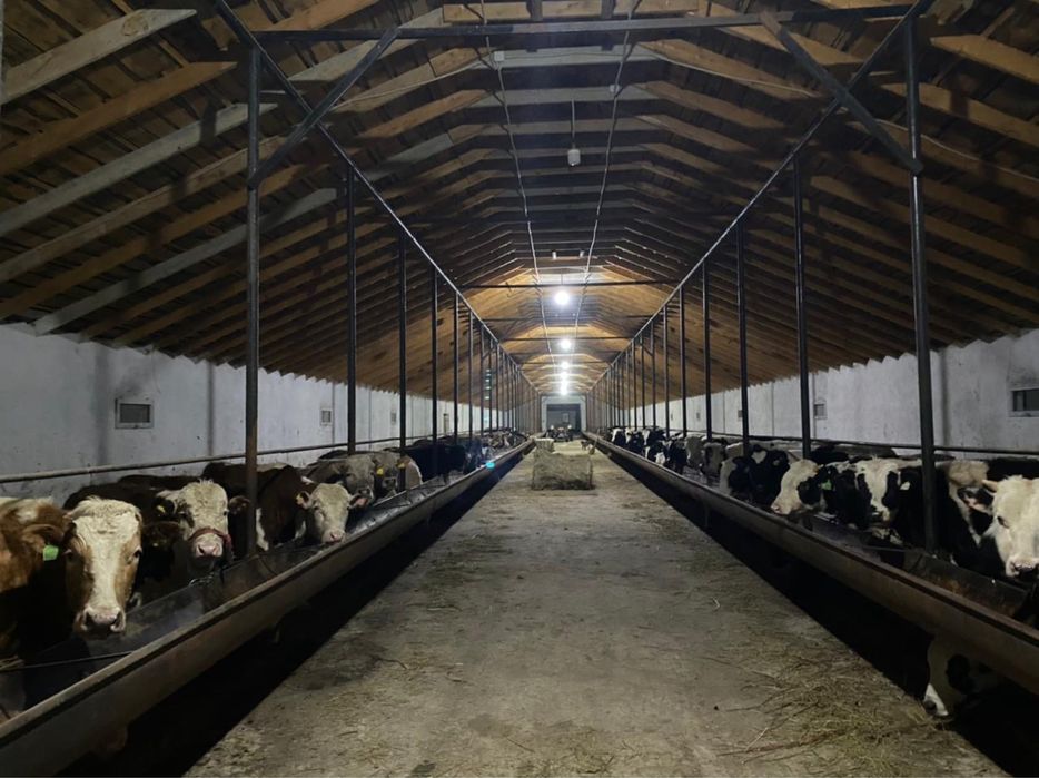 Сдаётся в аренду производственная база/фазенда (крестьянское хозяйство