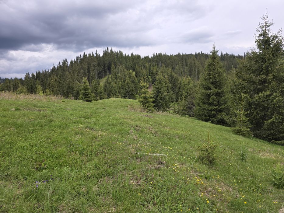 Teren extravilan 164900 MP