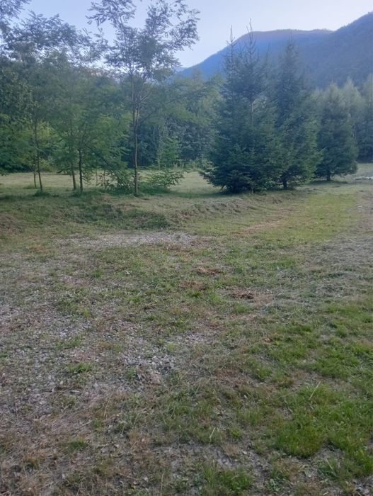 Cabana "AST" Liber de 1 Decembrie