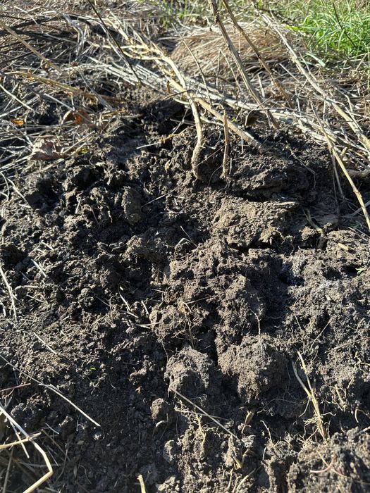 Ingrasamant bio/gunoi/mranita