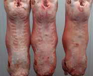 Vând miei  din rase de carne