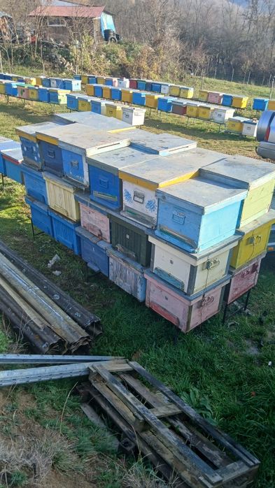 Vand lazi albine folosite