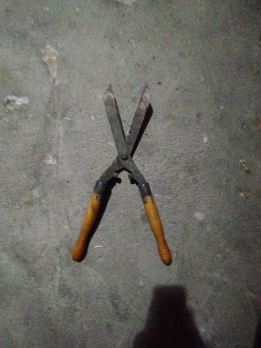 Bogʻ vositasi .qaychi