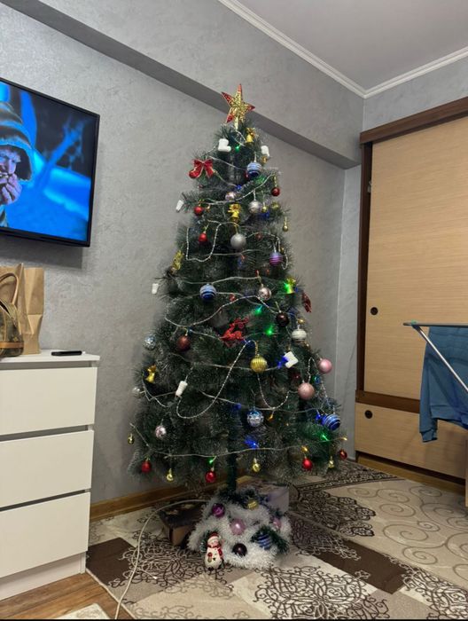 Елка без игрушек