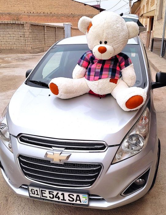 Teddy Teddi teddy, Xitoy original (30sm 3metrgacha)