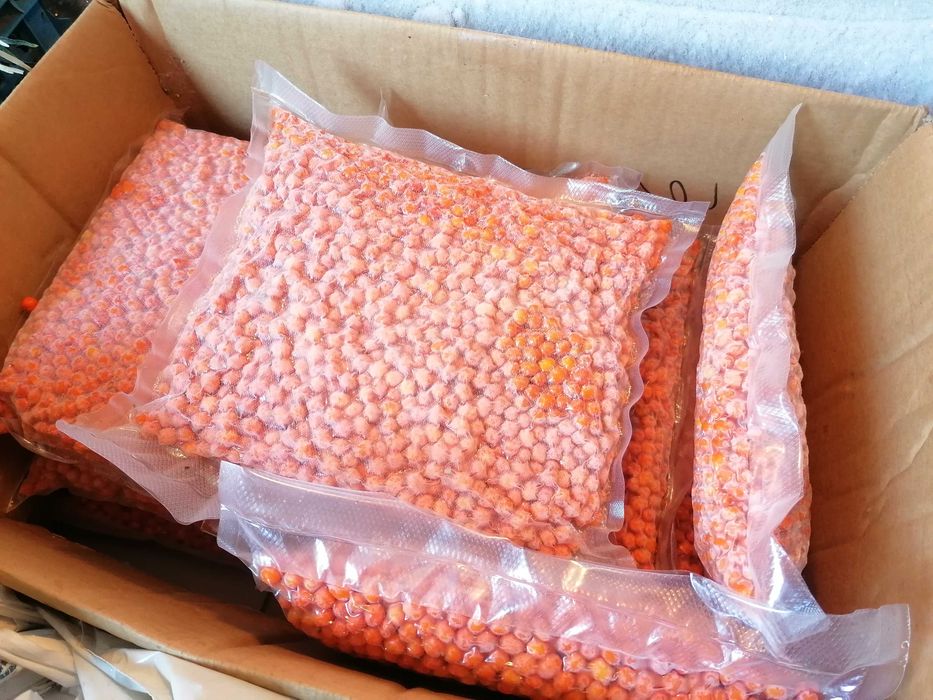 Tratament naturist CATINA congelate si vidate 1 kg