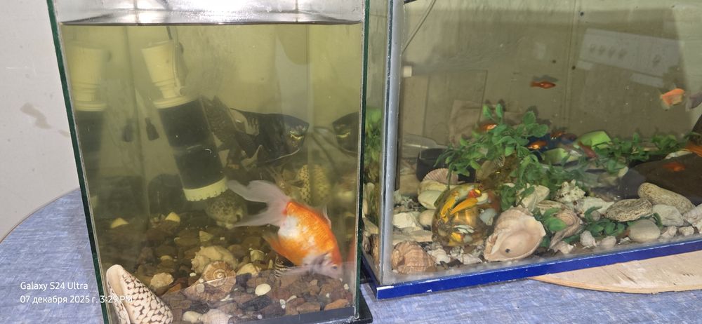 Продам 2 аквариума