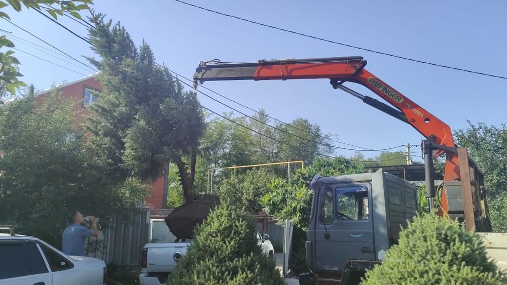 Услуги Манипулятор