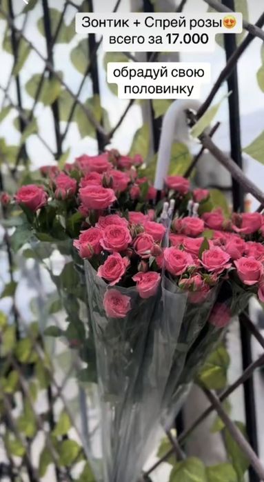 Розы в зонтике, букеты