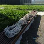 Alpinist Arqon sotiladi 700 metr 340 seli