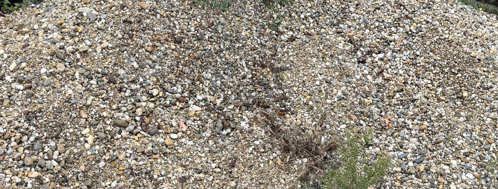 Nisip si pietris 2-3 m3