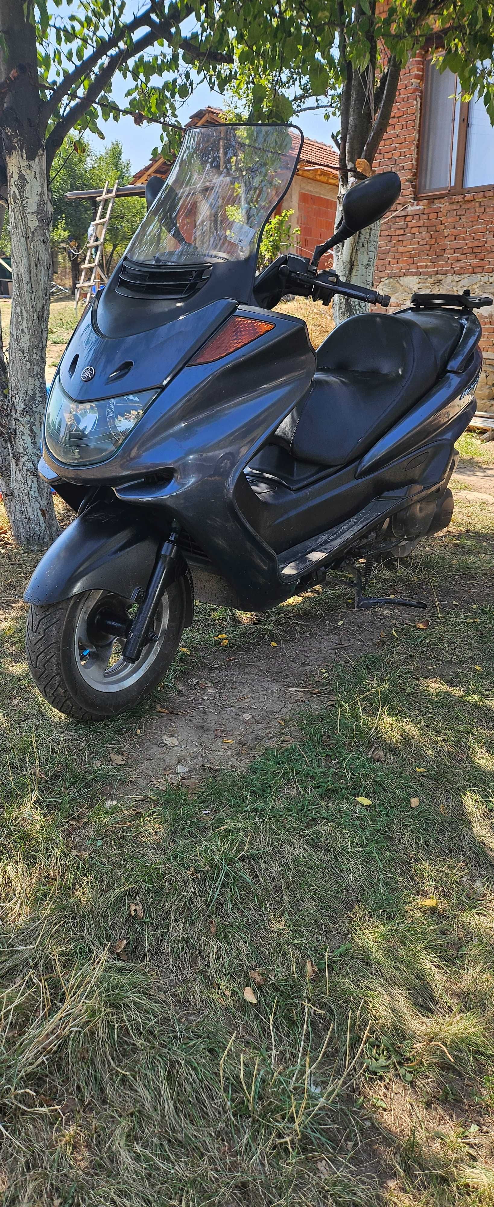 Yamaha Majesty 250cc