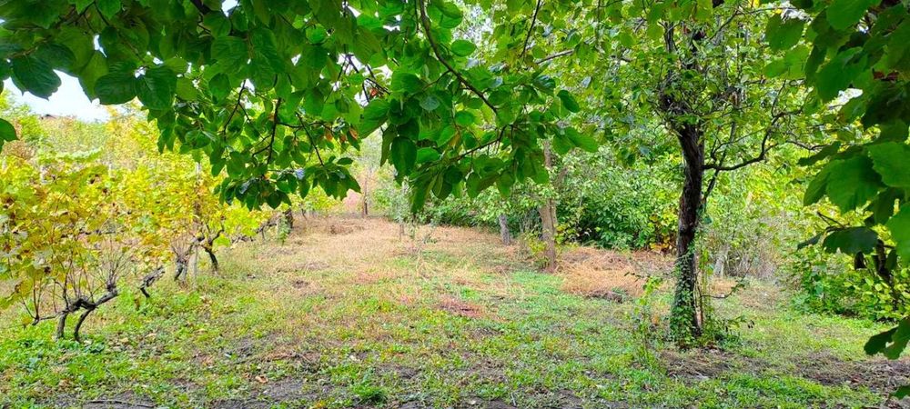 Продава се Парцел в Ямбол, Промишлена зона - 1000 кв.м за 7 €/кв.м - Снимка #2