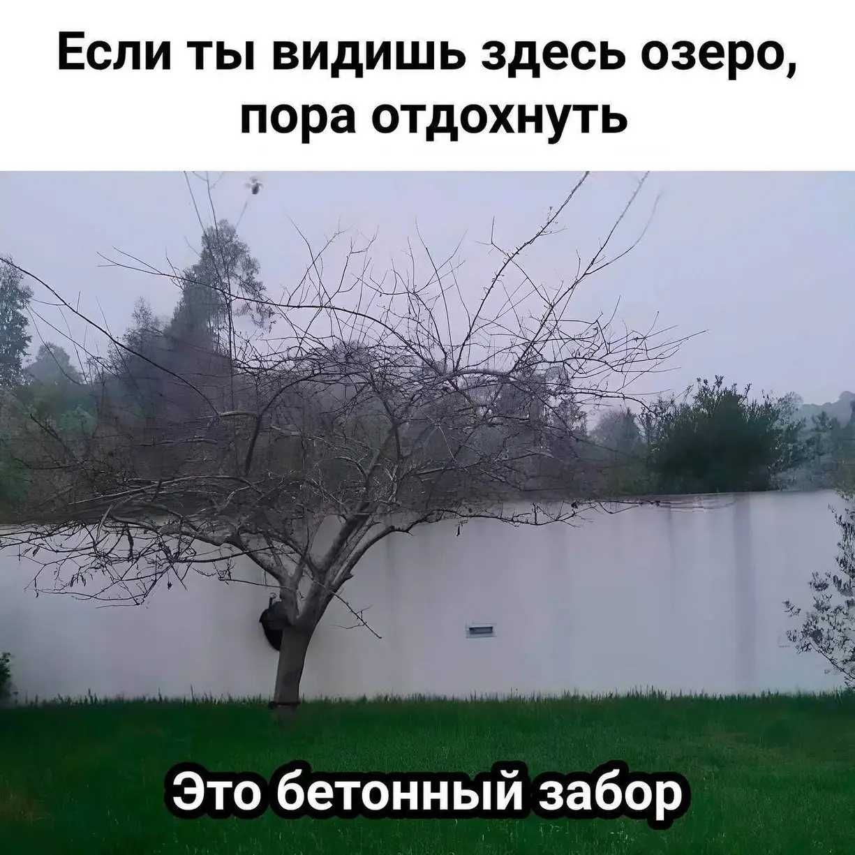 Раздача флаеров Раздача Листовок в Ташкенте Услуги Промоутера Бизнес