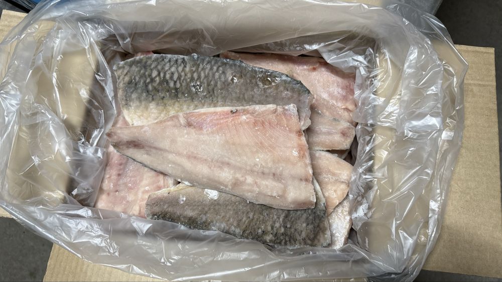 Филе Сазана ВКО Зайсан оптом и в розницу