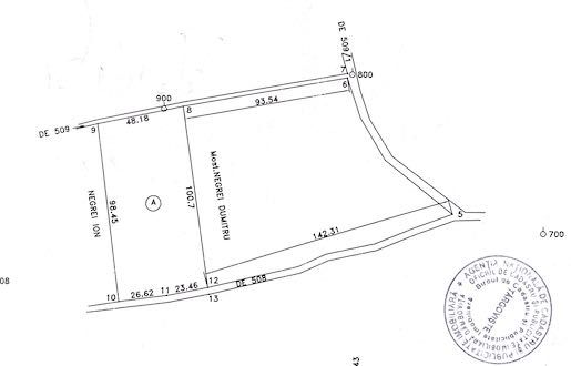 Proprietar Teren Butimanu Lucianca Hodarasti 10.000 mp