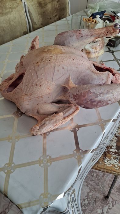 Продам тушки  индейки.