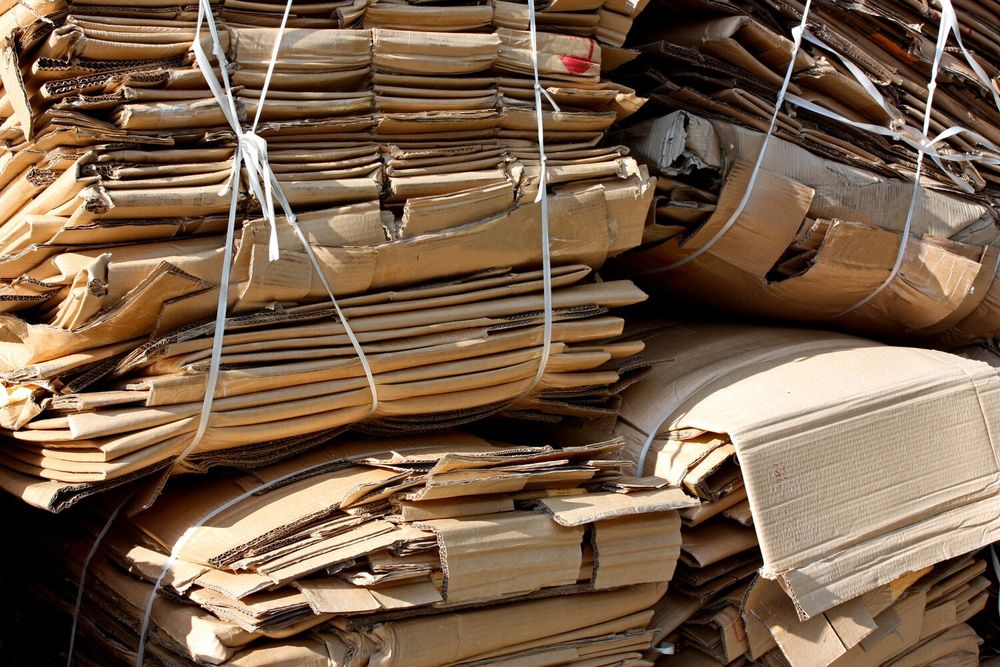 Makulatura va salafan кайта ишлаб  чикариш