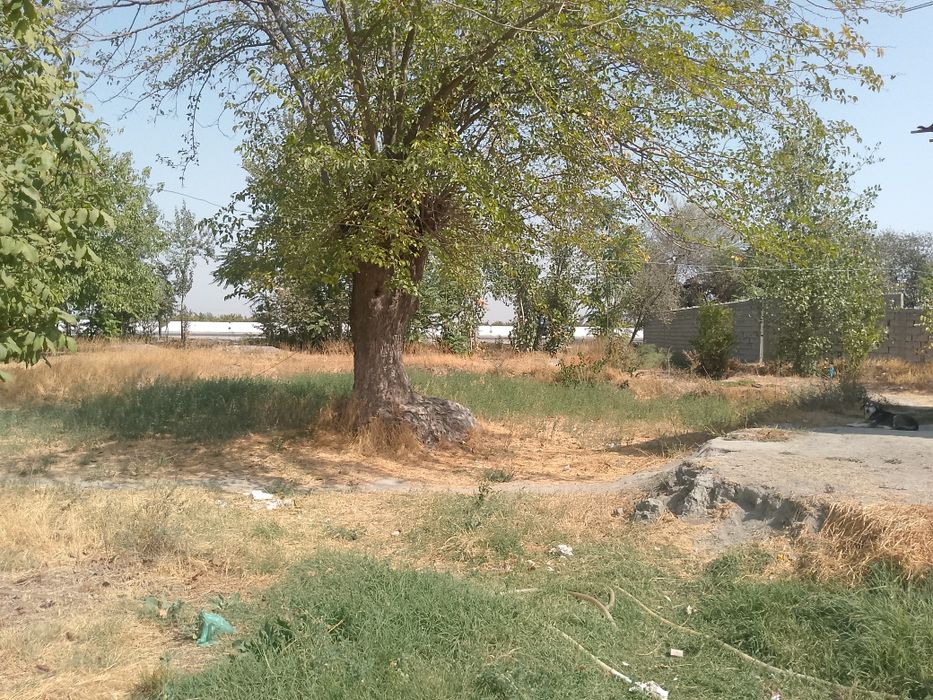 Уй - жой сотилади Окдарё туманида