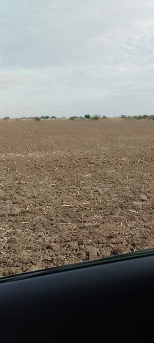 Vand 5000mp teren intravilan Copaceni langa 1 Decembrie