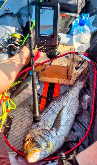 Сонар Humminbird PIRANHA MAX 4 DI