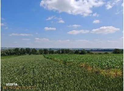 Teren extravilan Bosanci, ID: R2649419