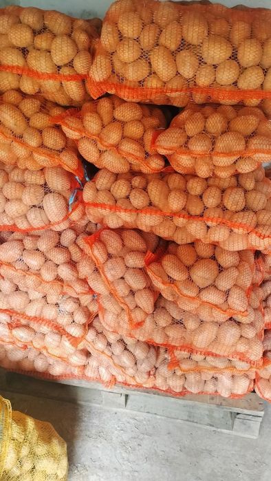 Cartofi pentru consum