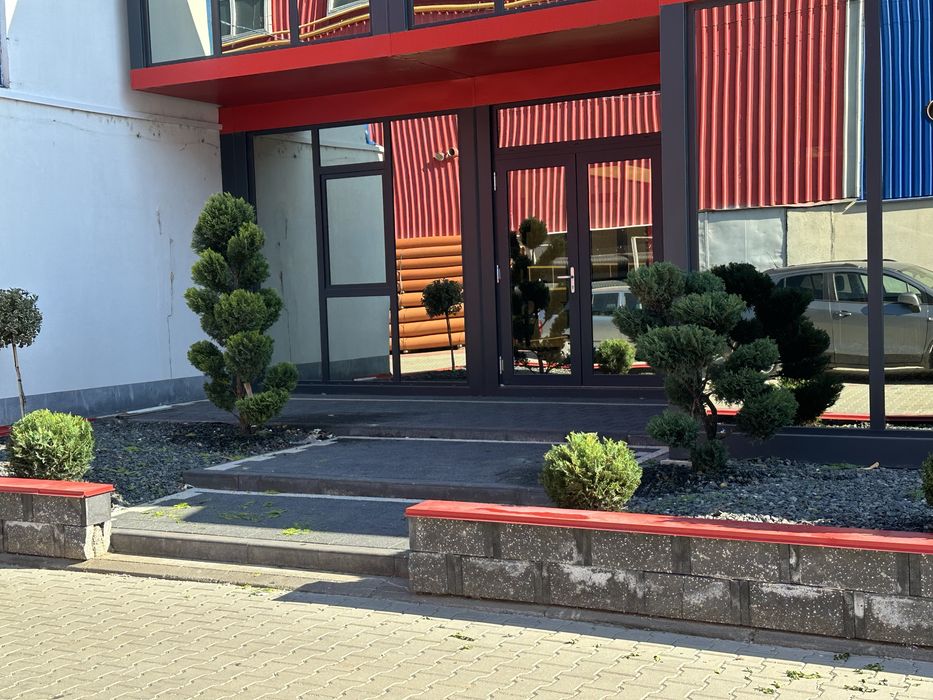 Amenajeri spati verzi gazon rulou piatra cubica montam plante ect