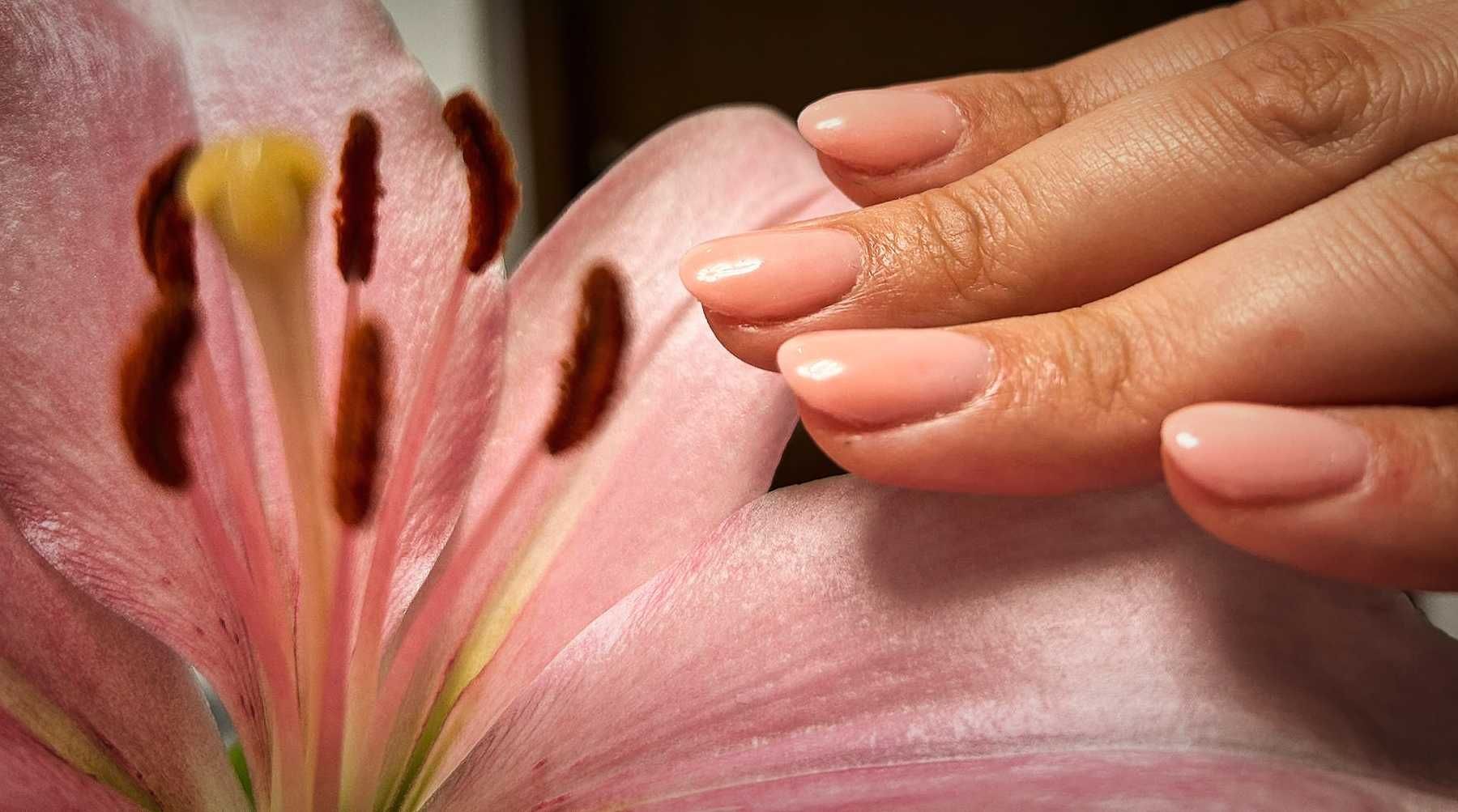 Manichiura și pedichiura