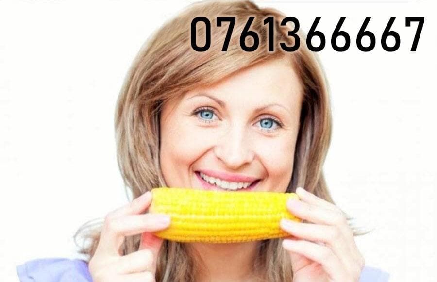 Porumb de fiert si copt proaspat, congelat!!! Nou din Ungaria