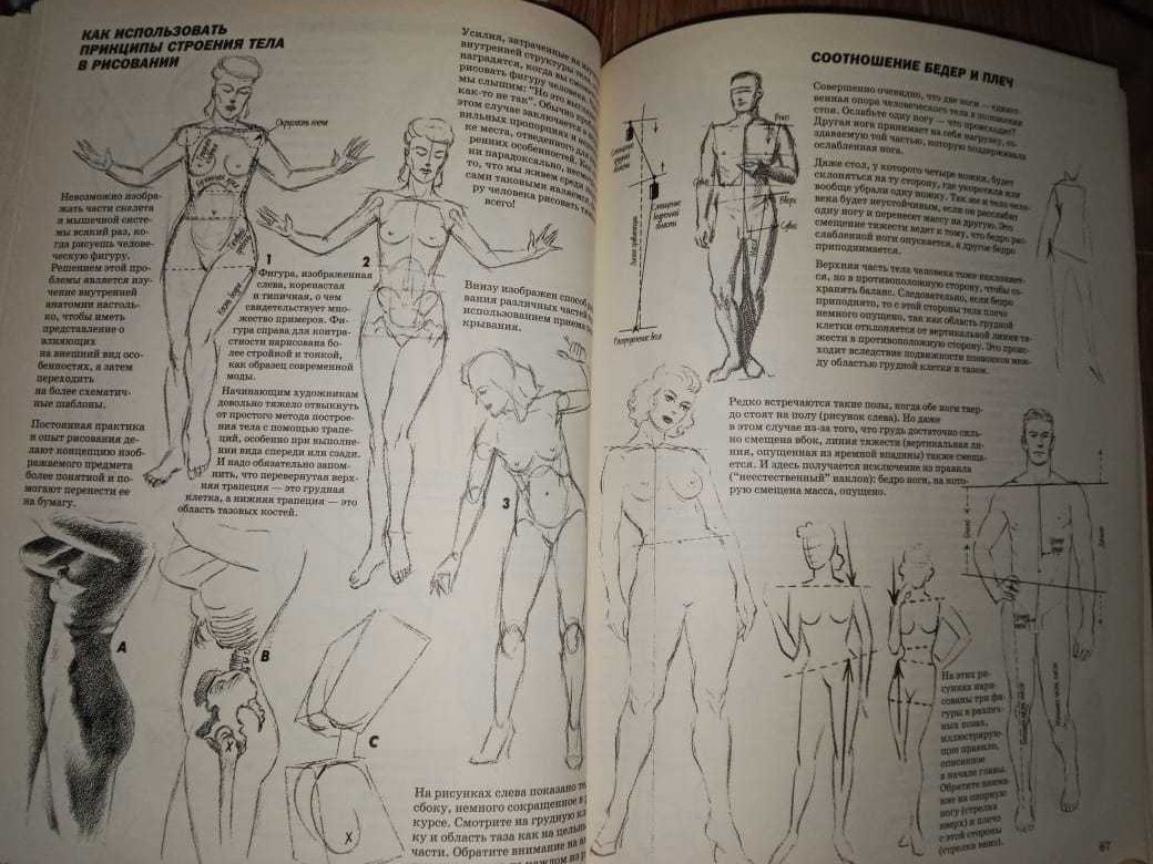 научит рисовать анатомию человека