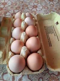 Ouă proaspete, de țară