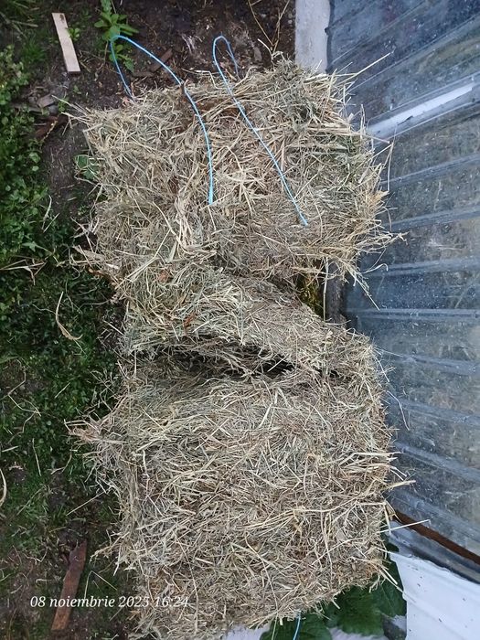 Baloti fan dreptunghiular