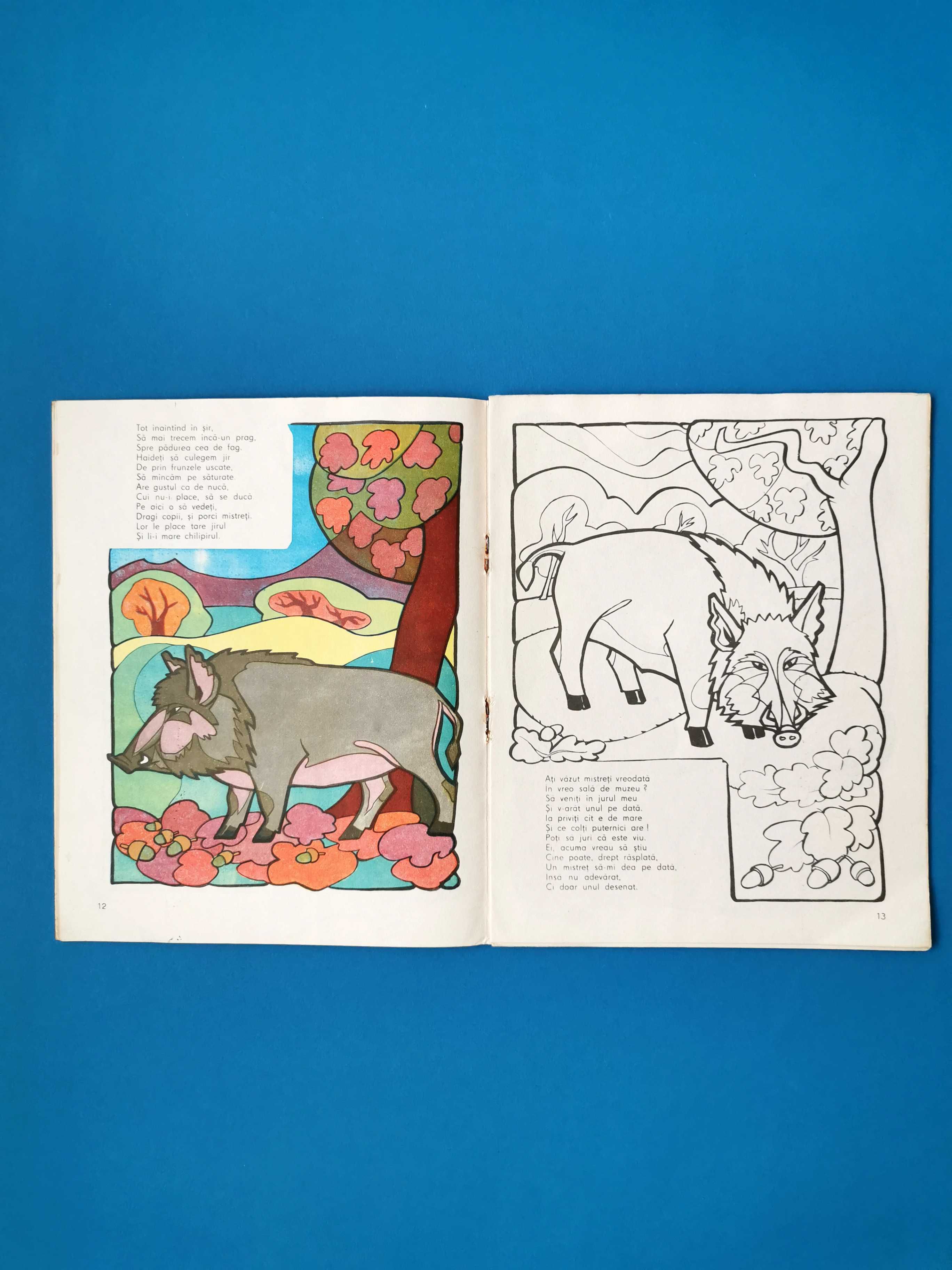 Carte veche de colorat Pădurea Colorată Vasile Filip 1977 Junimea
