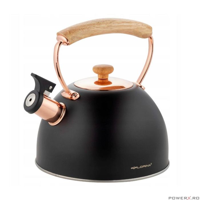 Ceainic din inox cu fluier, fierbator traditional, capacitate 2.5