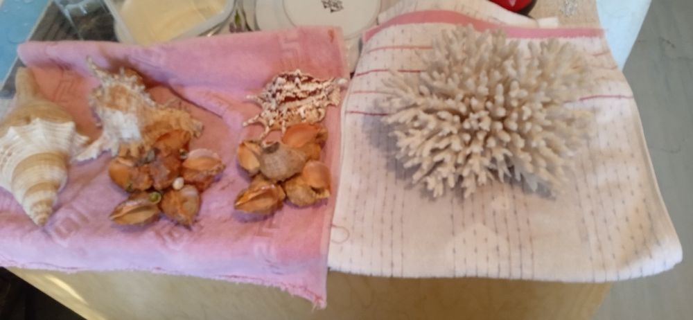 Для аквариума аксессуар смотрите фото