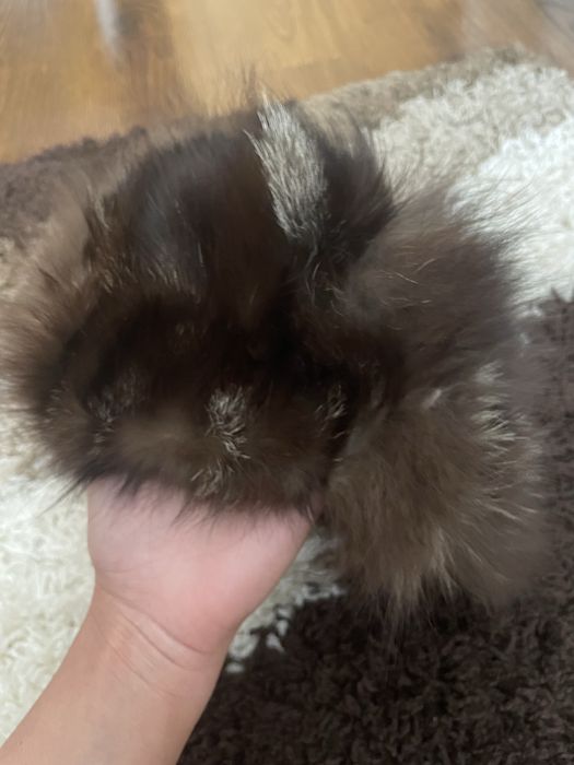 Дамска зимна шапка с косъм