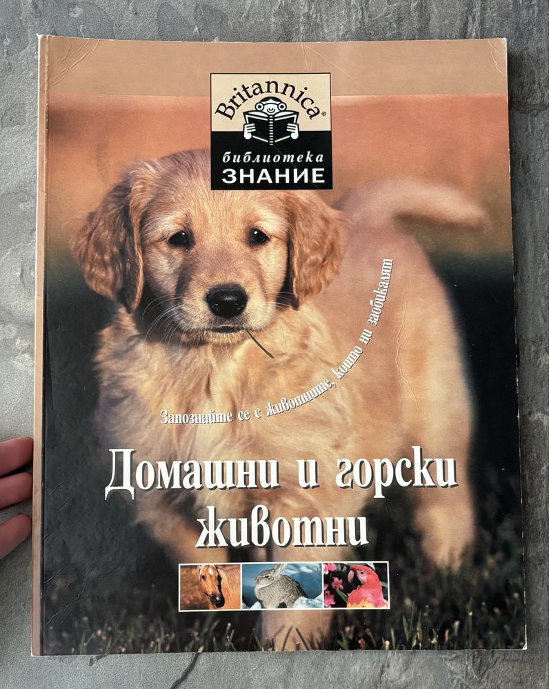 Енциклопедия библиотека знание