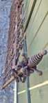 Gard fier forjat din anul 1800. 8m