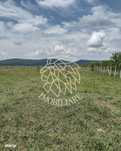 Teren 23700 mp (2,37 ha)-ideal investitie,cabana-Sesul Jelnei