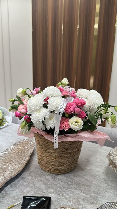 Продам цветы продам цветы