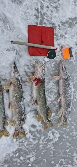 Продаются жерлицы, самодельные рабочие, оснащённые, качественные