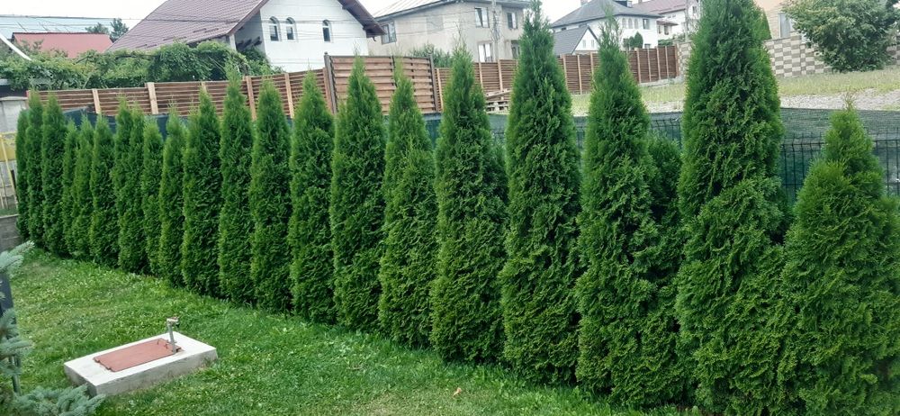 Vând casă falticeni