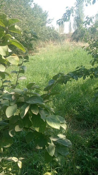 Земельный участок