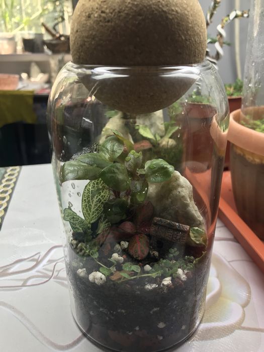 Продам флорик закрытый!