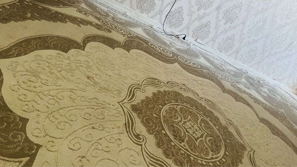 Продаются коврый туруия по хорошей цене