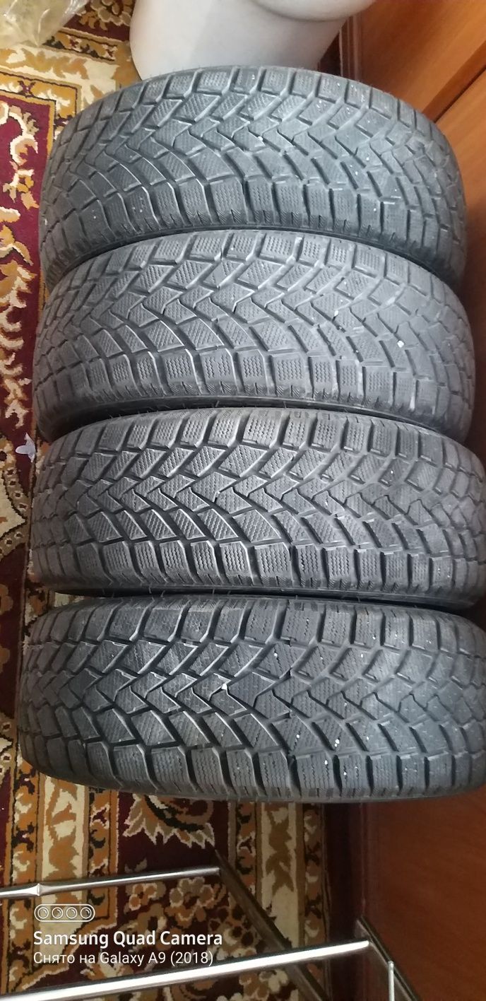 Mazzini snow leopard R15