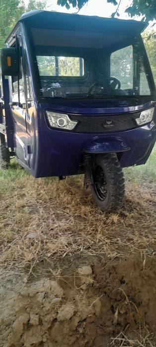 Muravey Alp motors